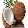 Suppliers of Semi Husked Coconut