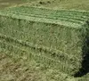 /product-detail/quality-alfalfa-hay-bays-alfafa-pellets-dehydrated-alfalfa-cubes-62005095824.html