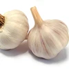 /product-detail/high-quality-wholesale-pure-white-garlic-from-egypt-62000844839.html