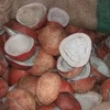 /product-detail/good-price-dried-coconut-ball-copra-coconut-copra-half-cup-62005100673.html
