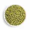 /product-detail/high-quality-fresh-export-green-mung-bean-62005167831.html