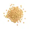 100% best quality Dried Soy Beans