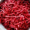 Top Grade Dried Red Chili Exporters In India/Teja S17
