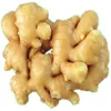 /product-detail/wholesale-organic-fresh-ginger-in-vietnam-62005272803.html