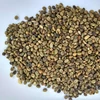 /product-detail/robusta-green-coffee-beans-62004087309.html