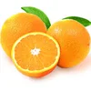 /product-detail/oranges-valencia-navel--50029359942.html