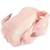 %100 Brazilian Halal Frozen Whole Chicken/Frozen whole chicken