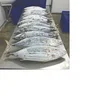 High And Best Quality Frozen Skipjack Tuna Fish