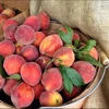CHEAP HIGH QUALITY Peaches Wholesale Fresh Organic Fruit FOR SALE AND EXPORT