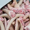 /product-detail/frozen-pork-tail-pig-tail-for-sale-62004447280.html