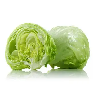 fresh lettuce for sale