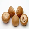 Best Sales good price Betel Nuts/ cheap price Good and Pure Quality Dried Whole Betel nuts/Dried Betel Nuts Splitted