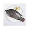 /product-detail/good-quality-frozen-tilapia-fish-whole-round-at-wholesale-price-62003295538.html