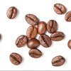 /product-detail/2019-quality-organic-healthy-arabica-coffee-62004416463.html