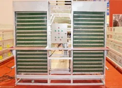 automatic egg collecting system