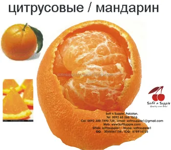 fresh kinnow | kinno | mandarin | citrus fruit (free from virus)
