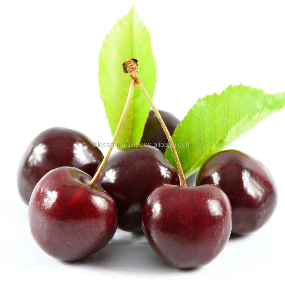 australia fresh fruit sweet cherry