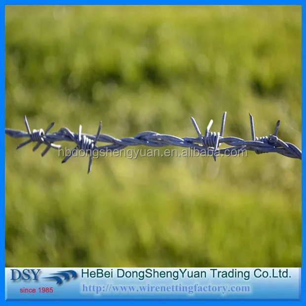 Barbed Iron Wire (54).jpg