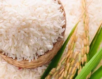 5 LONG GRAIN RICE BOTH WHITE