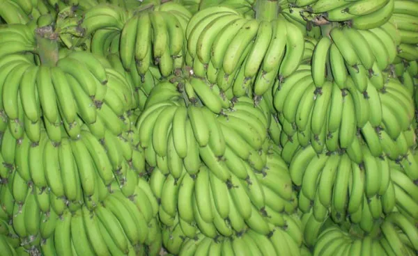 Fresh-delicious banana