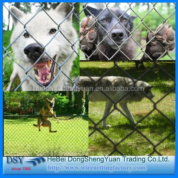 chain link fence (129)