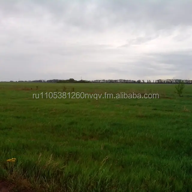 will sell land for settlement and agricultural land (the owner)