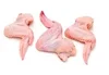 /product-detail/halal-frozen-chicken-3-joint-wings-brazil-50031616144.html
