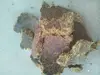 Cotton seed oil cake , Binola Khal