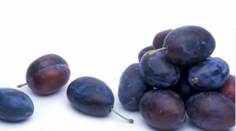 2014 fresh dried prunes