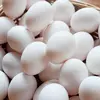 /product-detail/white-chicken-eggs-50028960353.html