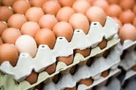 Farm Fresh Chicken Table Eggs Brown and White Shell Chicken Eggs