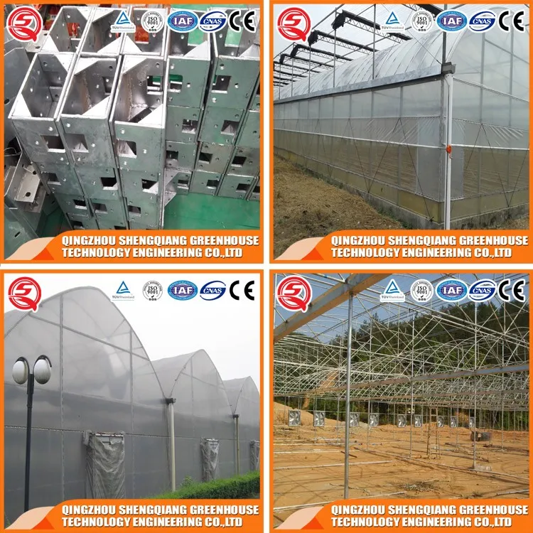 Rat traps plastic greenhouse for plant tomato and flowers