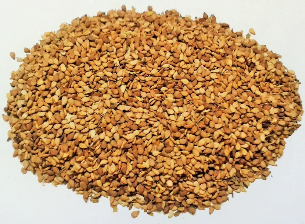 Sudan Natural Brown Sesame Seeds Buy Sesame Seed,Sesame Seed Price