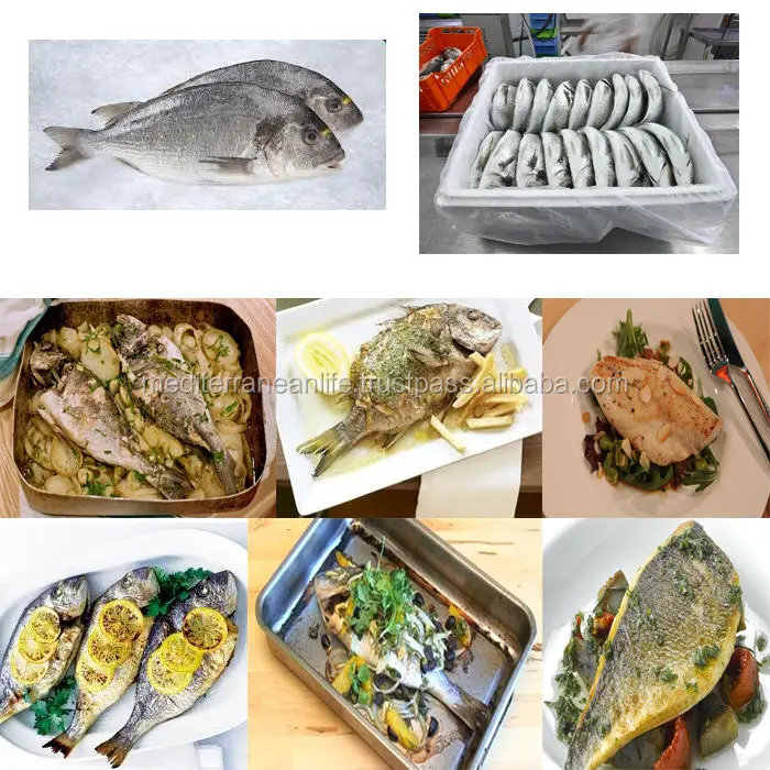 Sea Bream pic