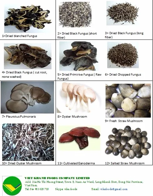 SUPPLY DRIED BLACK MUSHROOM/ DRIED MUSHROOM WITH THE BEST PRICE