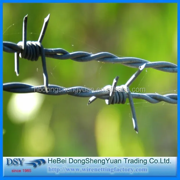 Barbed Iron Wire (70).jpg