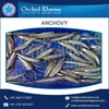 A Grade 100% Fresh Dried Anchovy Fish Supplier