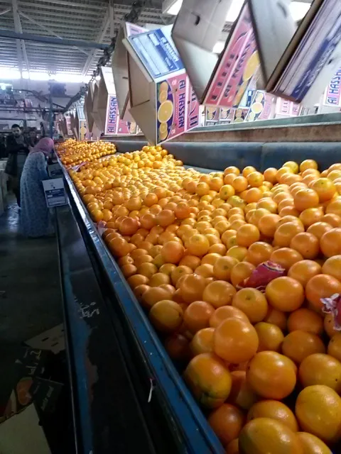 20141225_105358.jpg