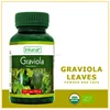 /product-detail/graviola-leaves-powder-and-caps-112313574.html