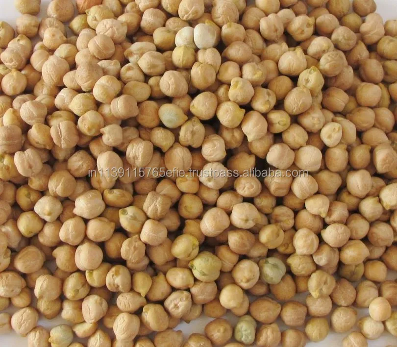 Chickpea 8 MM - 75/80 Count