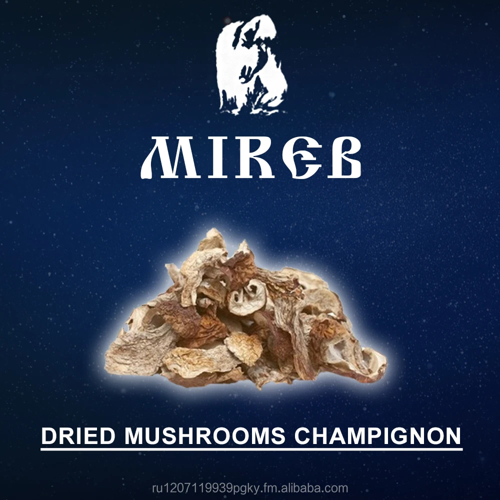 Mushrooms Champignon Dried 100 % Organic