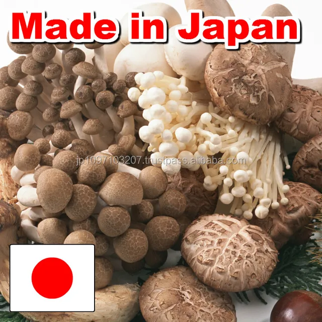 japan best quality mushroom