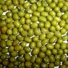 /product-detail/hot-split-green-mung-bean-from-vietnam-with-best-price-50030341224.html