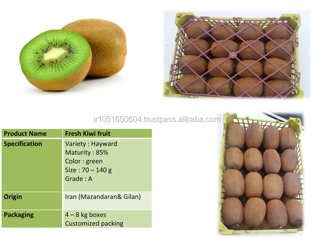 fresh kiwi fruit(hayward,green) - buy fresh fruit,tropical