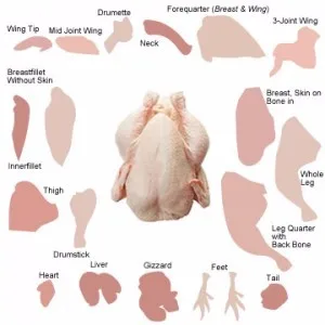 HALAL CLEAN GRADE A CHICKEN FEET / FROZEN CHICKEN PAWS BRAZIL