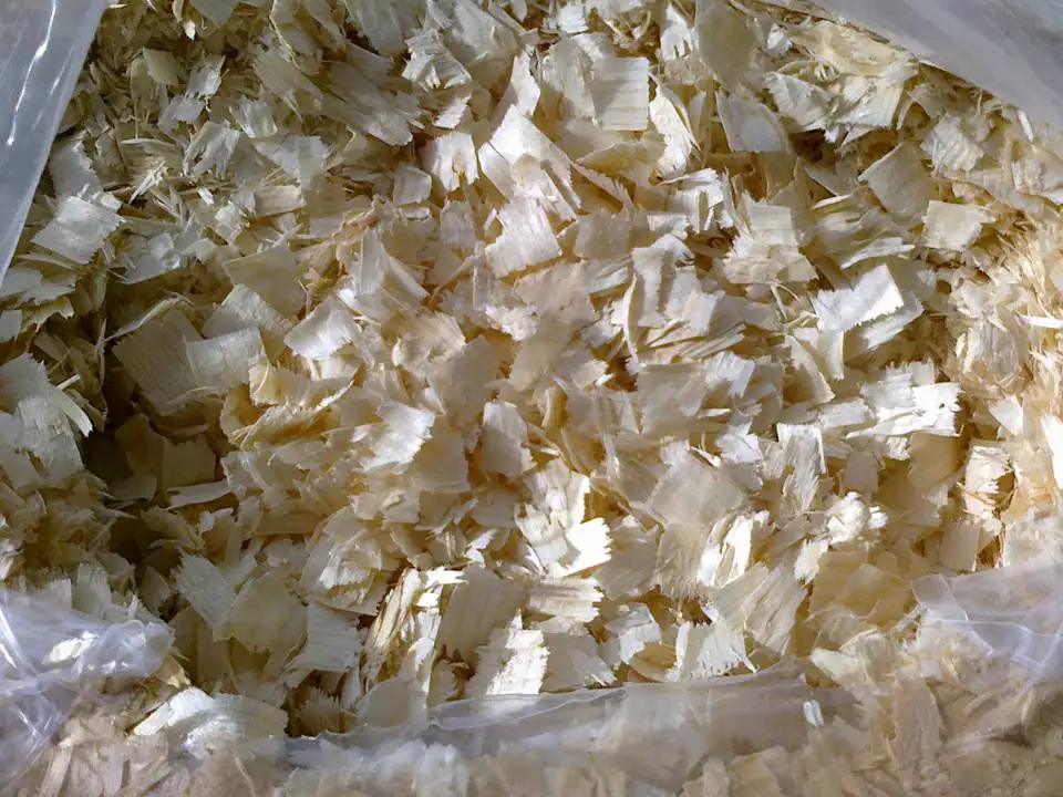 wood shavings for animal bedding