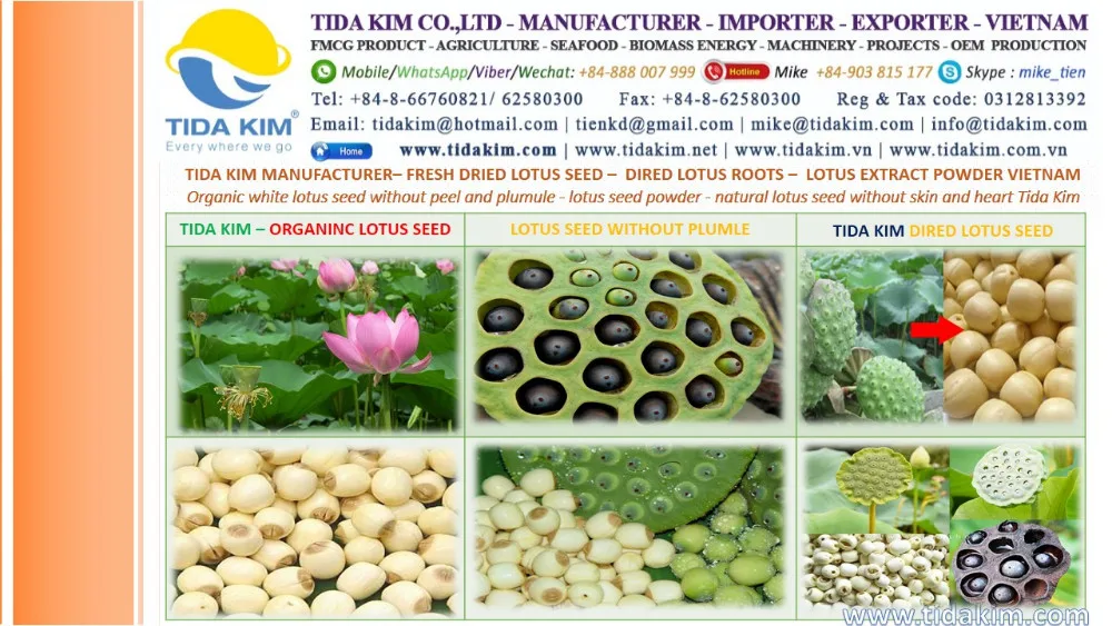 fresh dried lotus seed dired lotus roots lotus extract powder