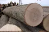 /product-detail/ash-and-oak-logs-sawmill-and-veneer-logs-50031646372.html