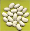 White Kidney Beans (Best Price and Quality)