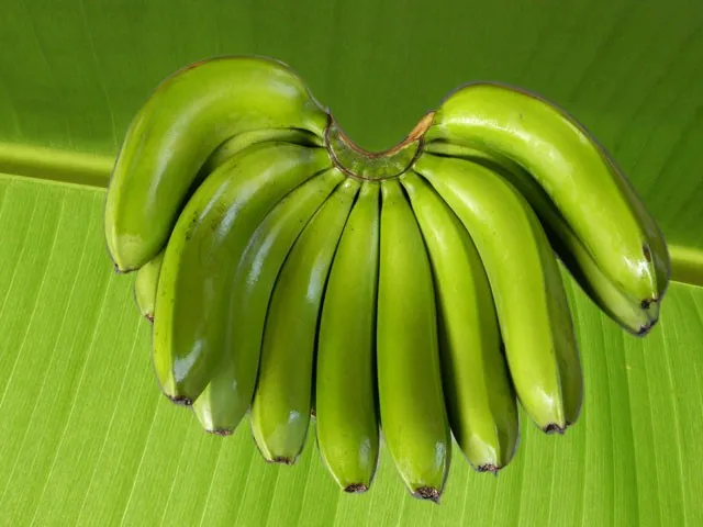 Fresh-delicious banana